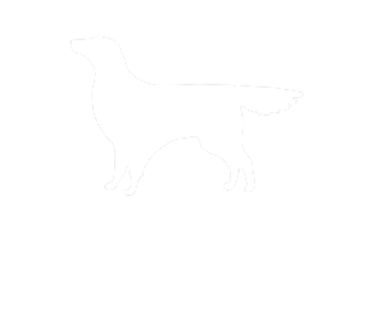 Zimzala Logo